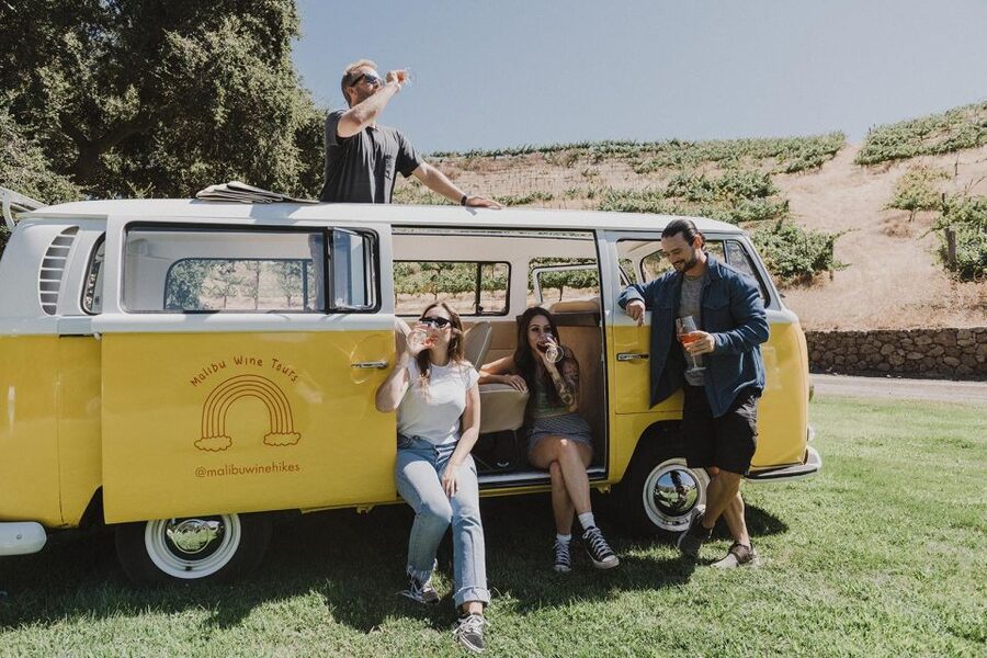 Malibu: Vintage VW Bus and Vineyard Tour - Should you book the vintage VW bus tour?