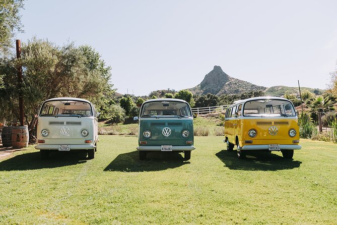 Malibu: Vintage VW Bus and Vineyard Tour - Local snacks make the stop more complete