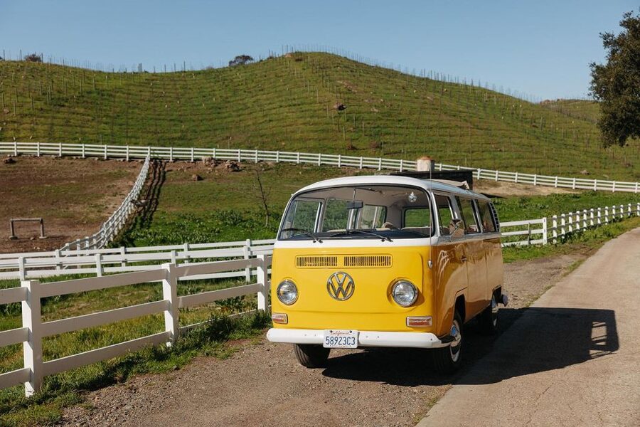 Malibu: Vintage VW Bus and Vineyard Tour - Who will enjoy this Malibu wine tour?