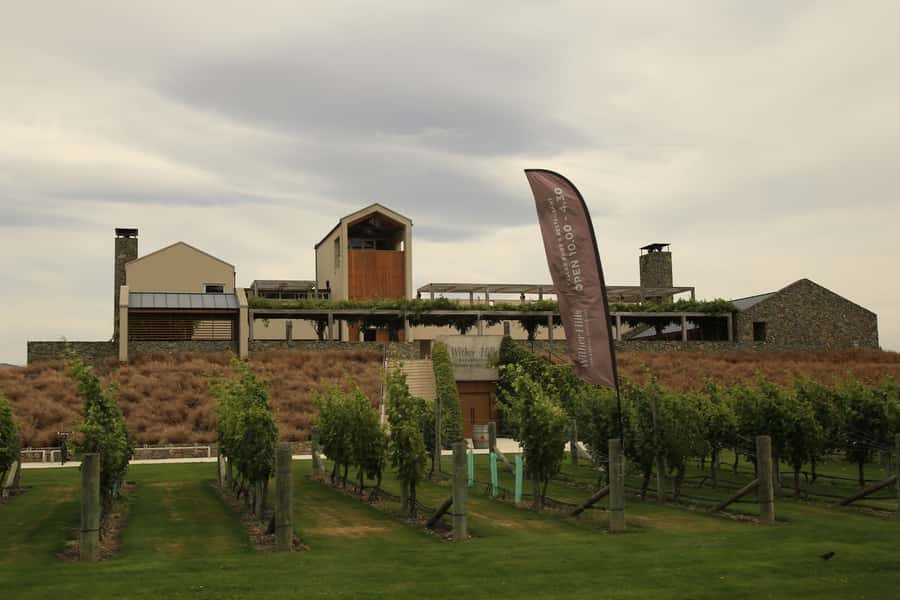Marlborough: Hop-On Hop-Off Wine, Brewery, and Wonders Tour - Winery stops and cellar-door planning