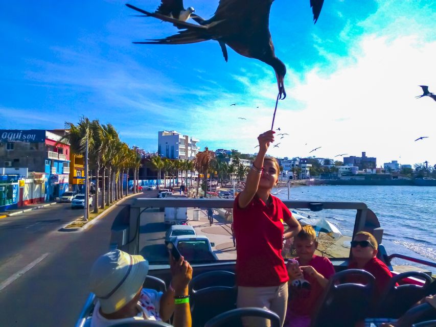 Mazatlán: Double-Decker Bus, Cliff Diving & Walking Tour - Walking through Mazatlán’s Historic District