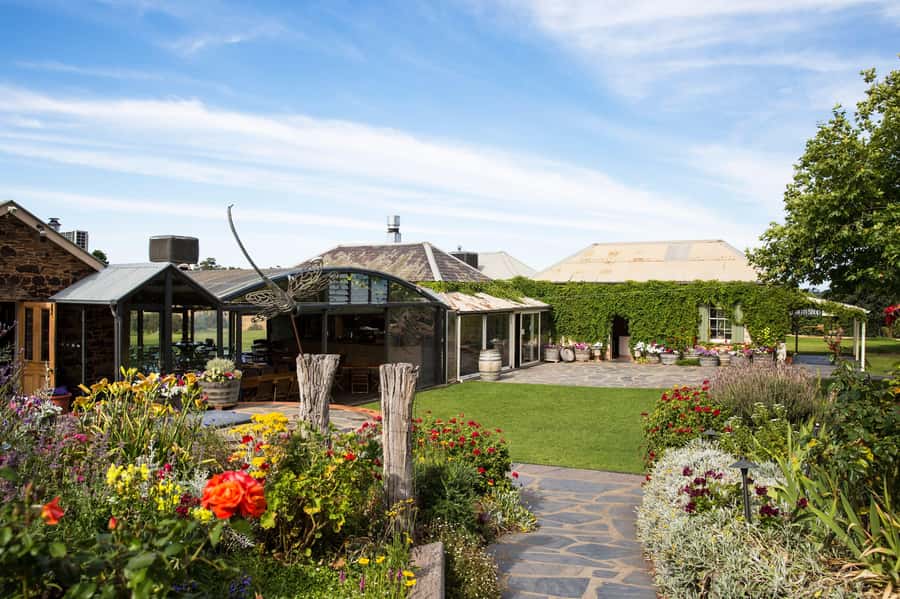 McLaren Vale North: Hop-On Hop-Off Tour - Is $70 good value?