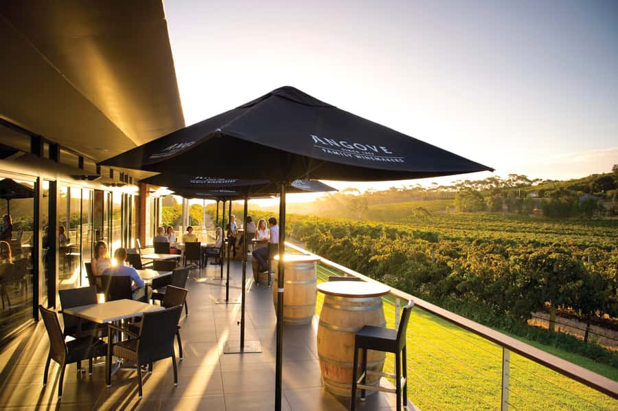 McLaren Vale North: Hop-On Hop-Off Tour - What the four stops feel like