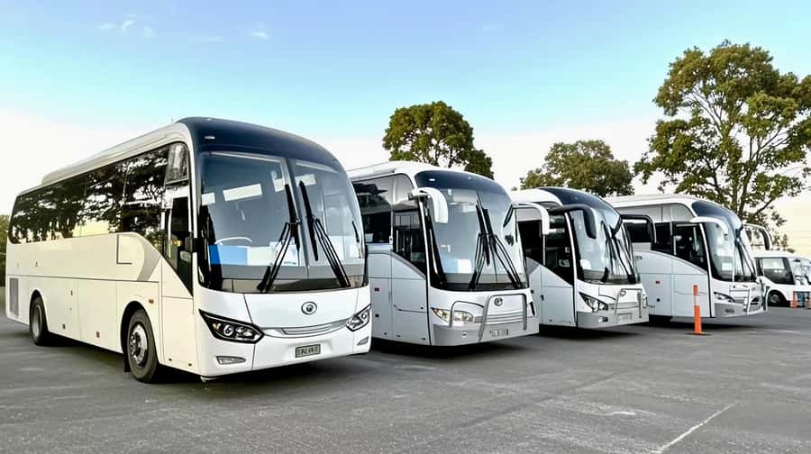 Melbourne Great Ocean Road Benz SmallGroup&LuxCoach BigGroup - Kennett River for koalas and native birds