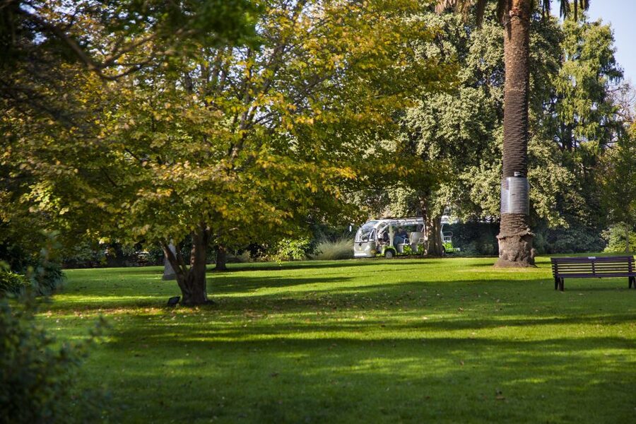 Melbourne: Melbourne Gardens Explorer Minibus Tour - Key things to know before you book