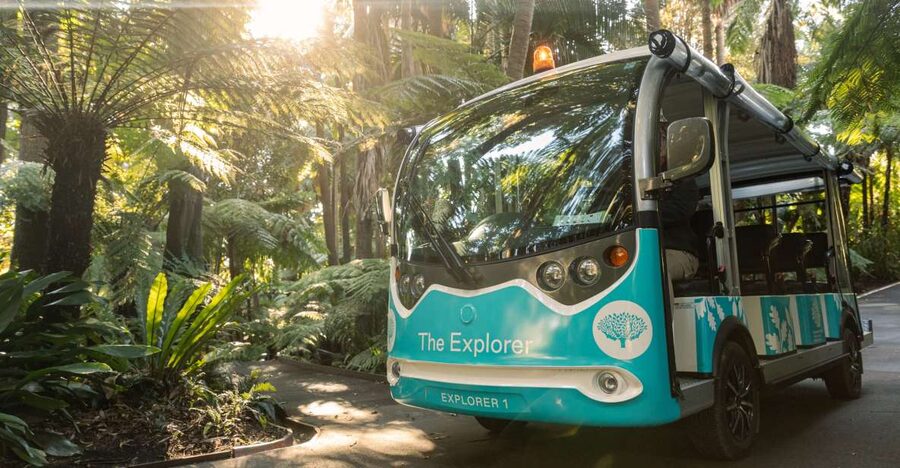 Melbourne: Melbourne Gardens Explorer Minibus Tour - Why this short ride is useful