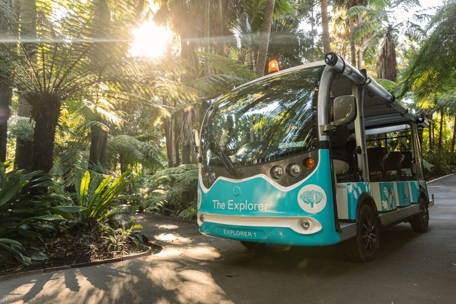 Melbourne: Melbourne Gardens Explorer Minibus Tour - Practical timing and cancellation advice