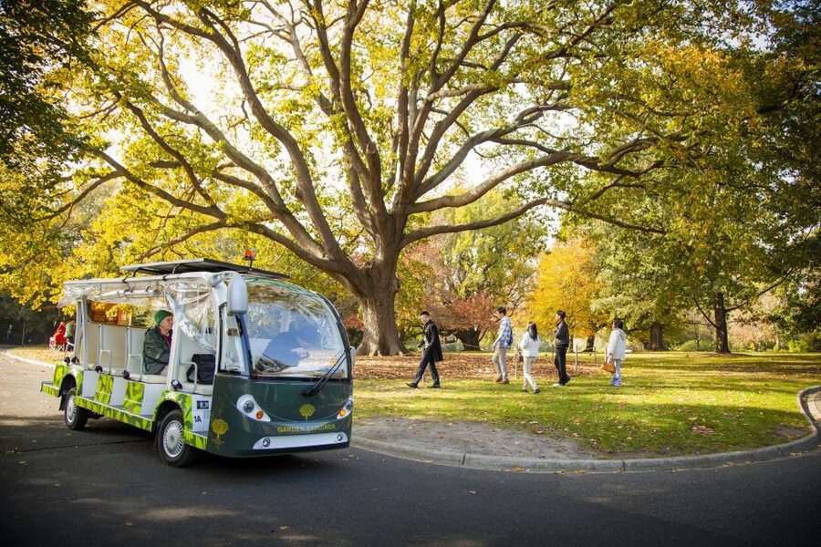 Melbourne: Melbourne Gardens Explorer Minibus Tour - Entering Melbourne Gardens from Birdwood Avenue
