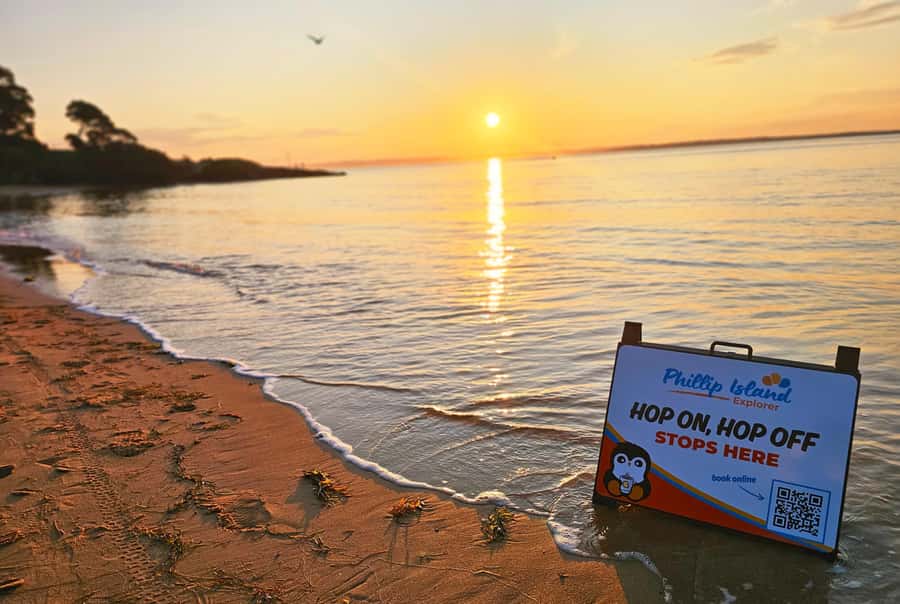 Melbourne: Phillip Island Tour w/ Hop-on Bus or Seal Cruise - Who should choose this Phillip Island trip
