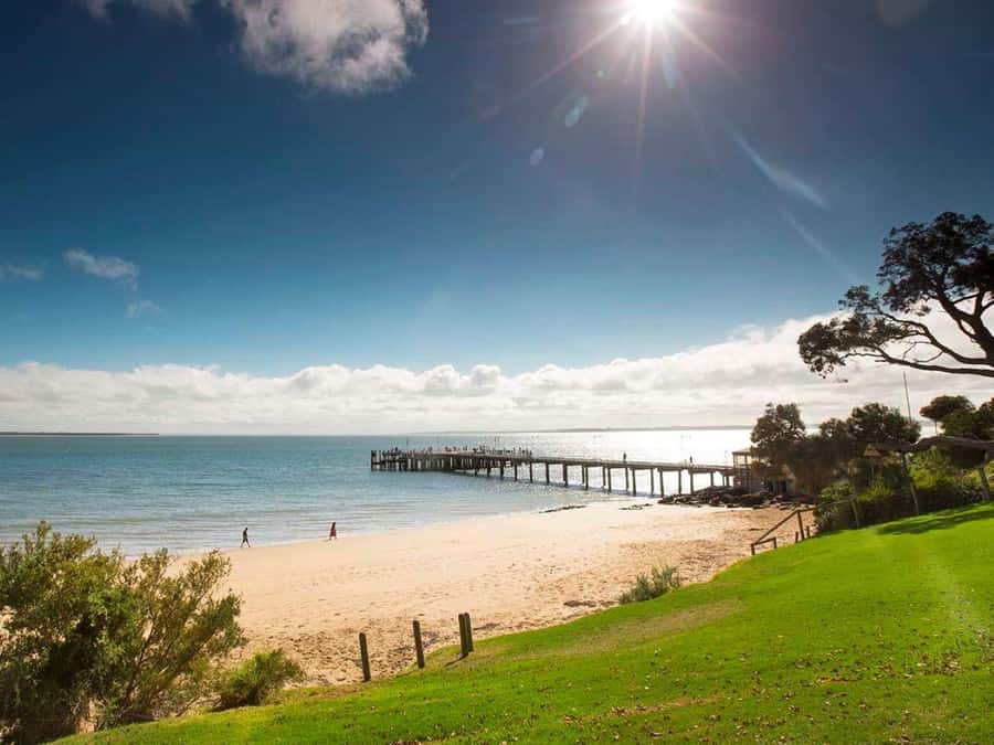 Melbourne: Phillip Island Tour w/ Hop-on Bus or Seal Cruise - Practical booking advice