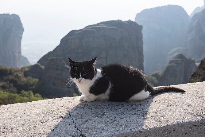 Meteora Full-Day Trip with Guide on Luxury Bus From Athens - Is the $111.13 price good value?