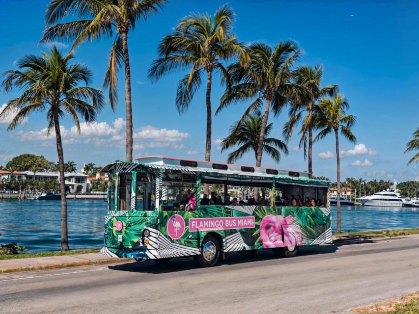 Miami Bus Tour Flamingo Open Air Trolley Bus Tours City Tour - Who will enjoy the open-air format most