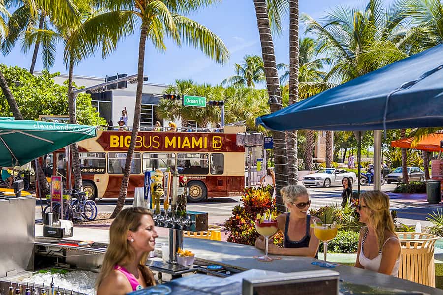 Miami: Everglades Experience, Bay Cruise & Open-Top Bus Tour - Three very different sides of Miami for $80