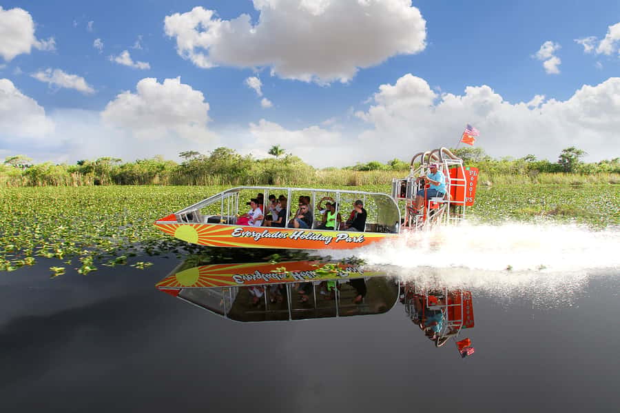 Miami: Everglades Experience, Bay Cruise & Open-Top Bus Tour - Who gets the most from this package?