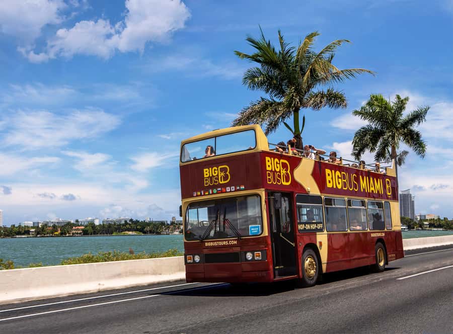 Miami: Everglades Experience, Bay Cruise & Open-Top Bus Tour - Miami by open-top double-decker bus