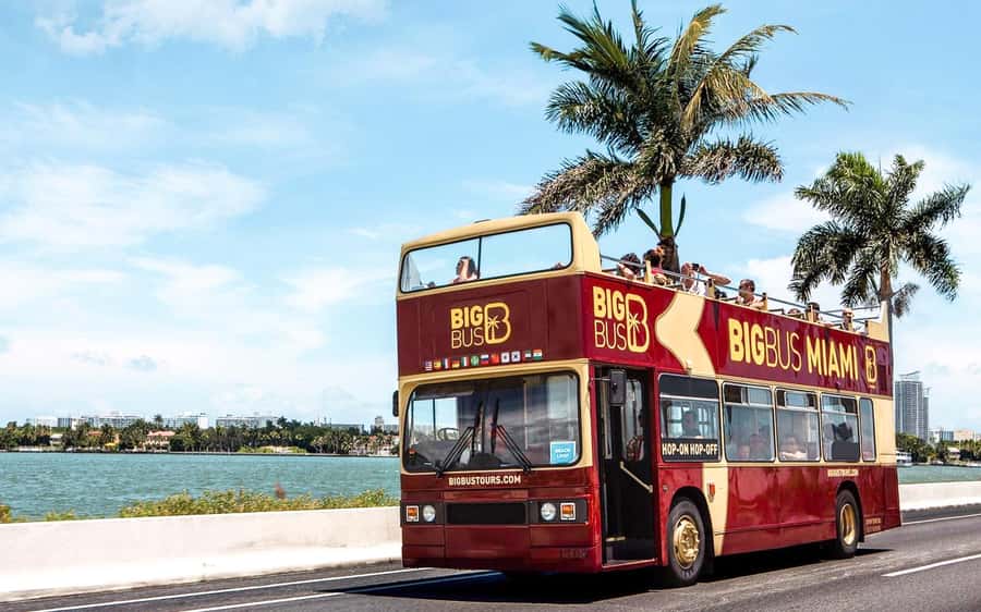 Miami: Hop-on Hop-off Open-top Bus Tour and Optional Cruise - What this Miami bus tour is really good at