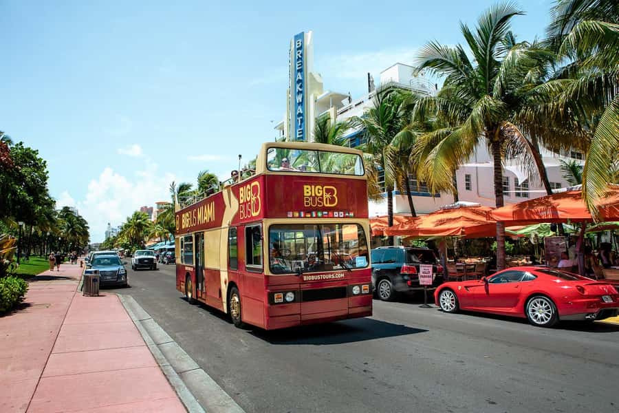 Miami: Hop-on Hop-off Open-top Bus Tour and Optional Cruise - Downtown Miami and the waterfront view