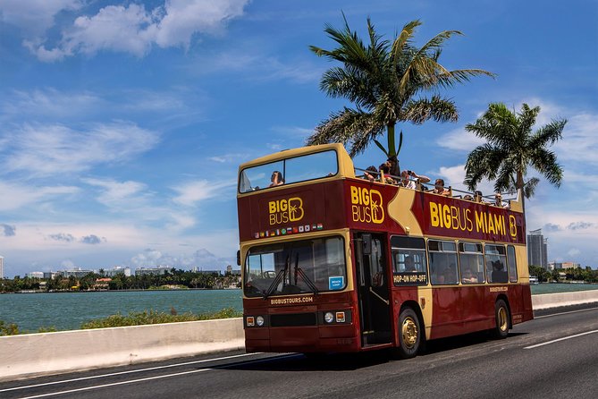 Miami: Hop-on Hop-off Tour + Cruise & Free 1-Hour Bike Rental - Design District and Wynwood Walls: the strongest art stops