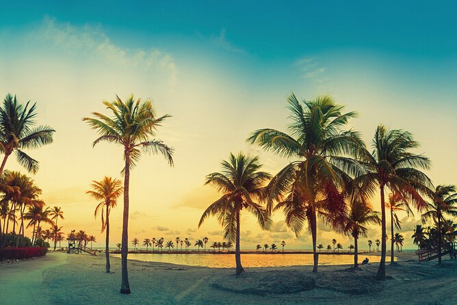 Miami: Open-top Bus Sightseeing Night Tour with Live Guide - Why a night bus is a smart first look at Miami