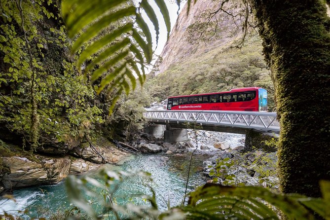 Milford Sound Coach & Cruise ex Te Anau Stunning Views with Lunch - Eglinton Valley shows why the road matters