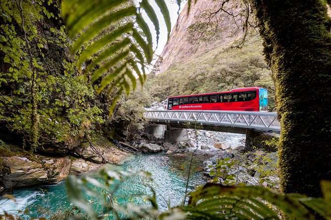 Milford Sound Premium Coach & Cruise from Queenstown with Lunch - Mirror Lakes and Monkey Creek depend on time and weather