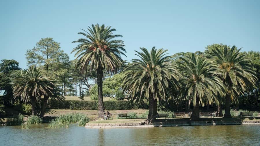 Montevideo: Sightseeing Hop-On Hop-Off Bus Tour - Key points to know before boarding
