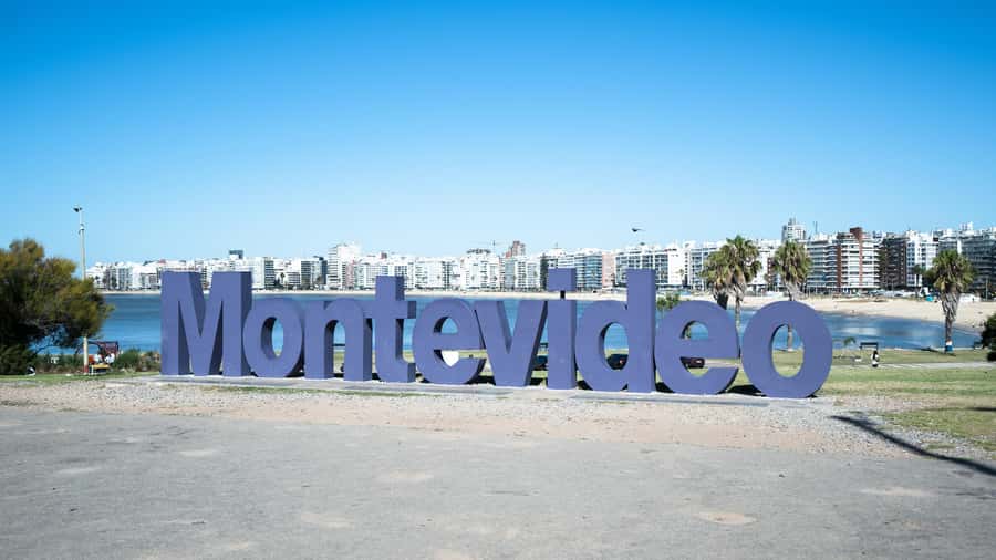 Montevideo: Sightseeing Hop-On Hop-Off Bus Tour - Why this bus works well in a spread-out city