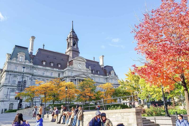 Montreal: Guided Bus Tour - McGill University and the hilltop city