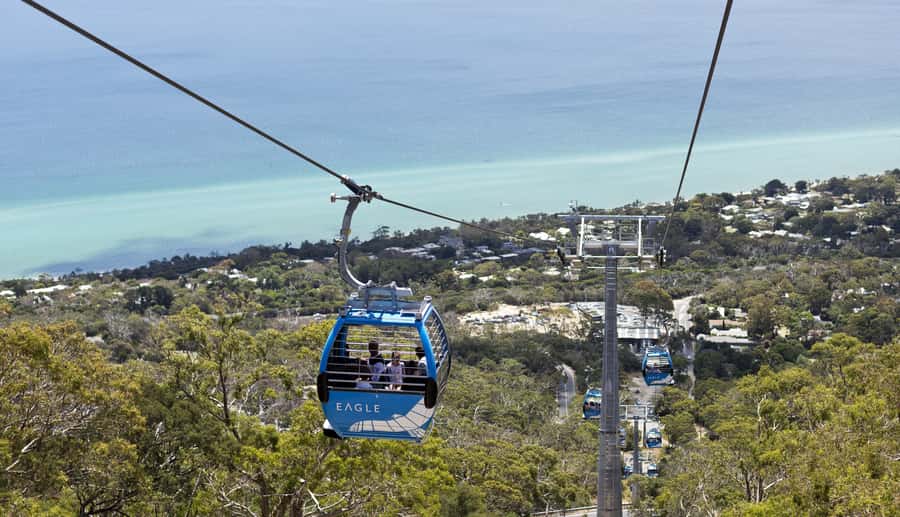 Mornington Peninsula Scenic Bus Tour with Chairlift & Lunch - Transport, timing, and what to bring