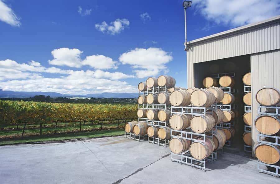 Mornington Peninsula Winery Bus Tour with Lunch & Wine - Panoramic views between cellar doors