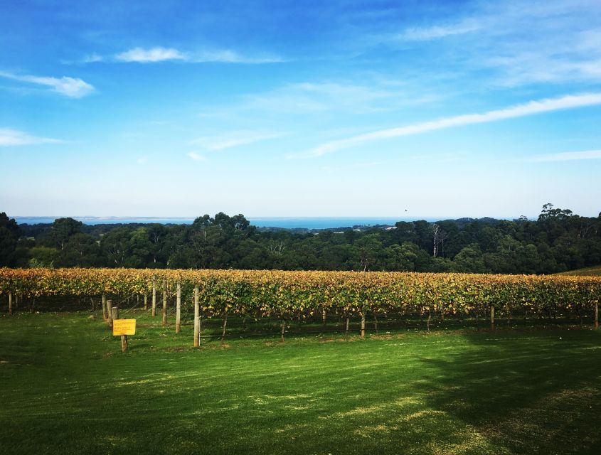 Mornington Peninsula Winery Bus Tour with Lunch & Wine - Who will enjoy this day most?
