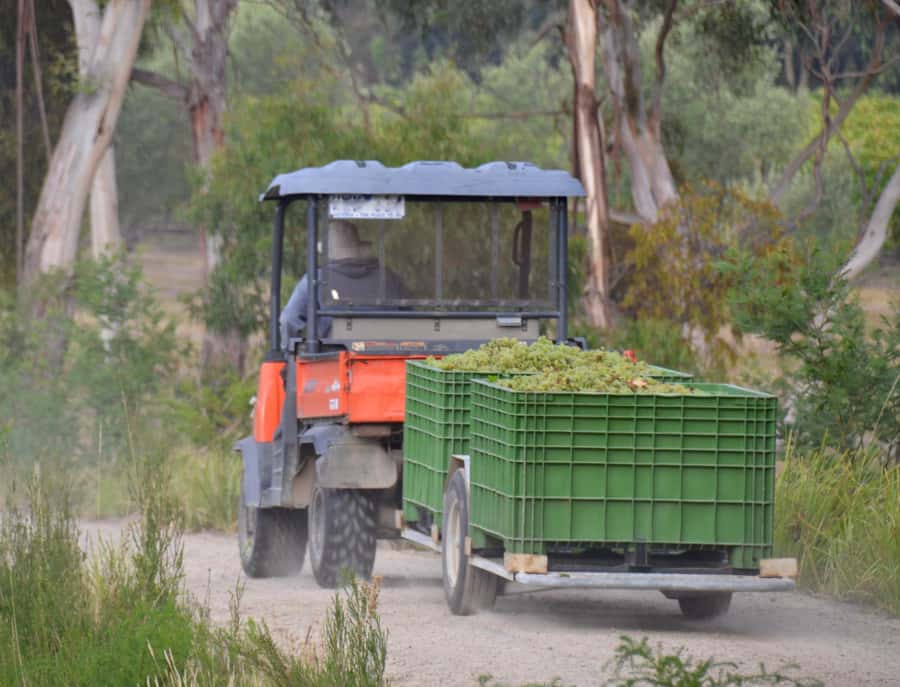 Mornington Peninsula Winery Bus Tour with Lunch & Wine - How to get more from the tasting stops