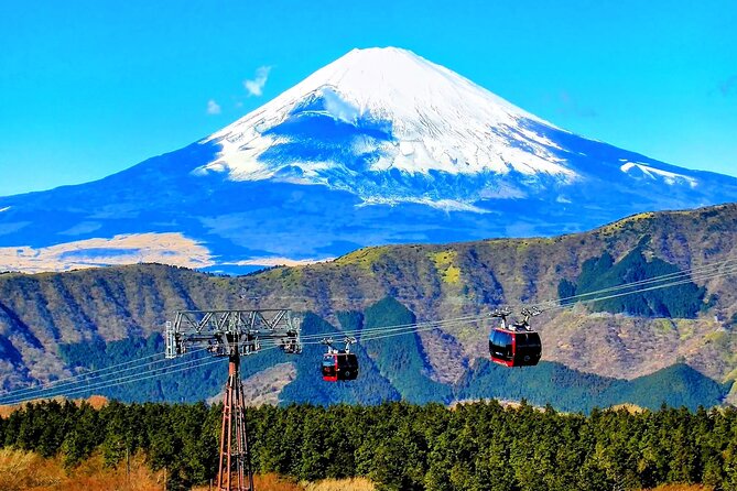 Mt Fuji and Hakone 1-Day Bus Tour Return by Bus - The long bus rides are the real cost