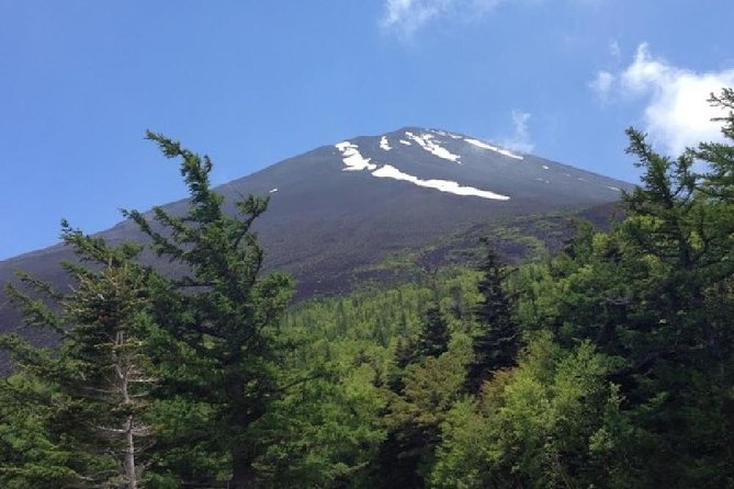 Mt Fuji & Hakone Cruise, Drum Show Bus 1 Day from Tokyo - Guides, bus time, and the pace of the day