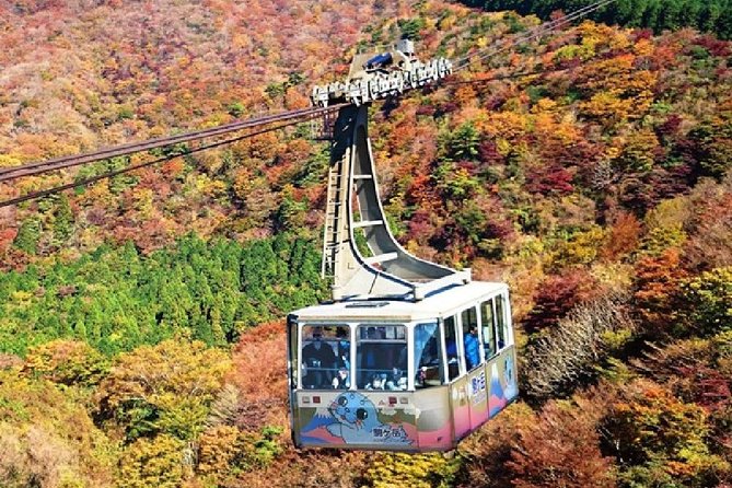 Mt Fuji & Hakone Cruise, Drum Show Bus 1 Day from Tokyo - Returning to Tokyo, with two drop-off choices