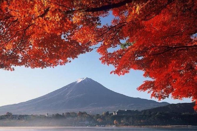 Mt Fuji & Hakone Cruise, Drum Show Bus 1 Day from Tokyo - Price, value, and who should choose it