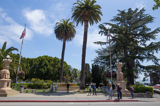 Muir Woods and Sausalito (Return by Bus or Ferry) - Crossing the Golden Gate Bridge
