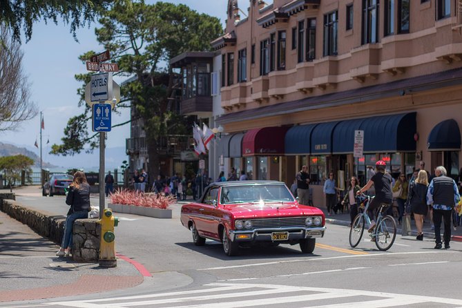 Muir Woods and Sausalito (Return by Bus or Ferry) - Is $91 a fair price?