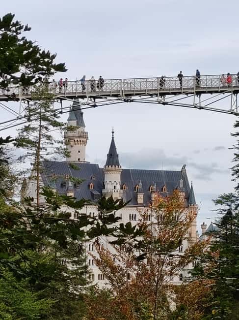 Munich: Neuschwanstein Castle by Bus with Alpine Bike Ride - Lunch near Neuschwanstein