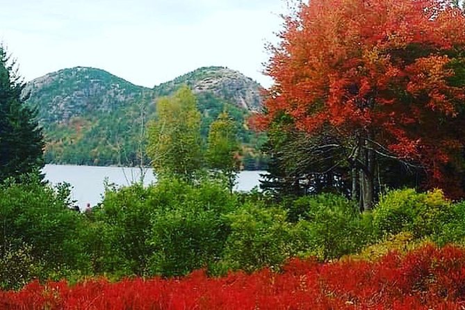 Narrated Bus Tour of Bar Harbor and Acadia National Park - Sieur de Monts Spring and the park’s roots
