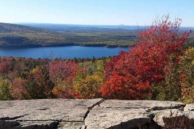 Narrated Bus Tour of Bar Harbor and Acadia National Park - The guides make the ride more than transportation