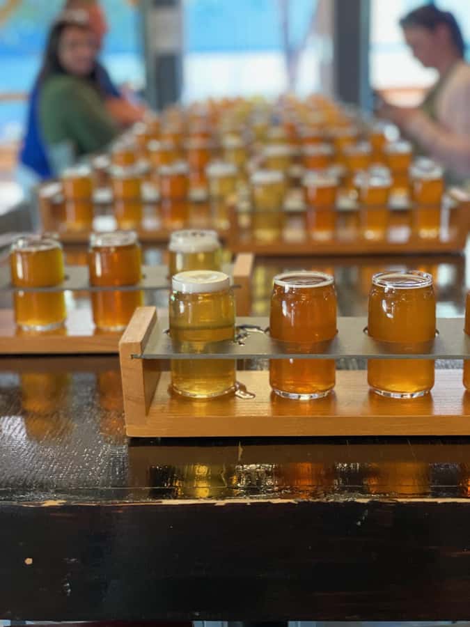 Nashville: Hop-On Hop-Off Brewery Trolley Tour - What the $45 price really covers