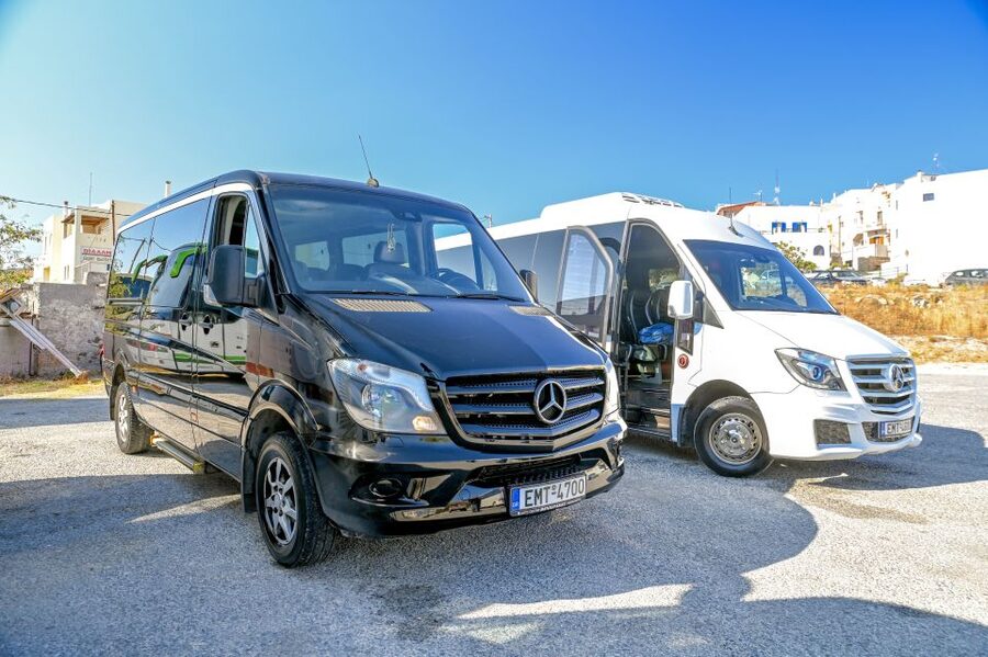 Naxos: Private Minibus Rental with an Experienced Driver - Who should book the four-hour option