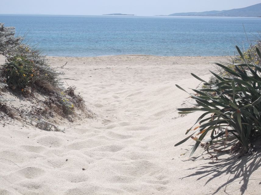 Naxos: Private Minibus Rental with an Experienced Driver - A private road day built around your interests