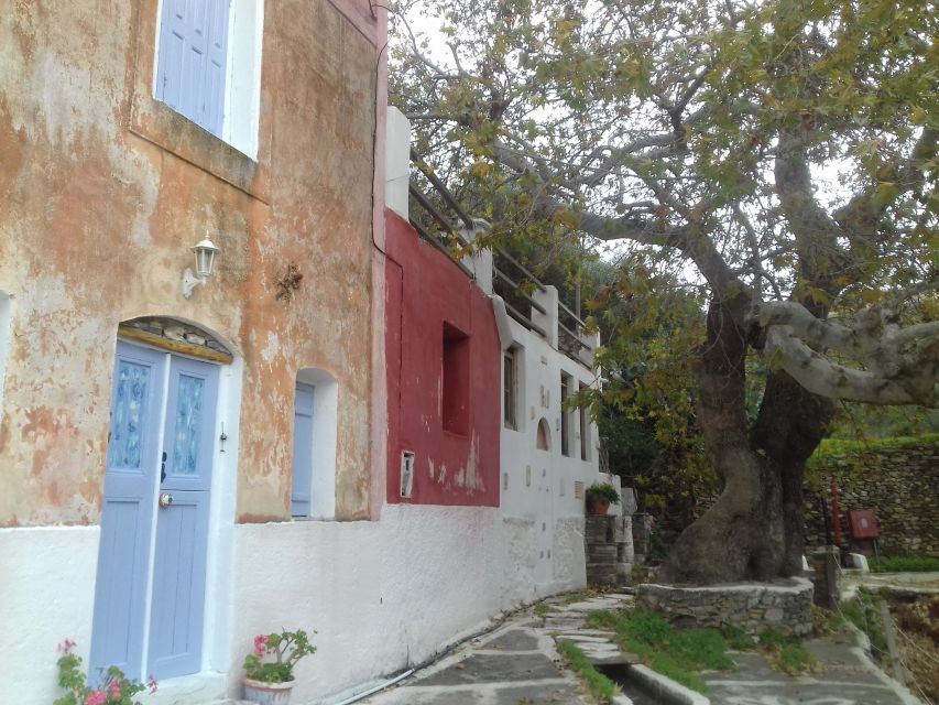 Naxos: Private Minibus Rental with an Experienced Driver - Chalki, kitron, and the slower side of village life