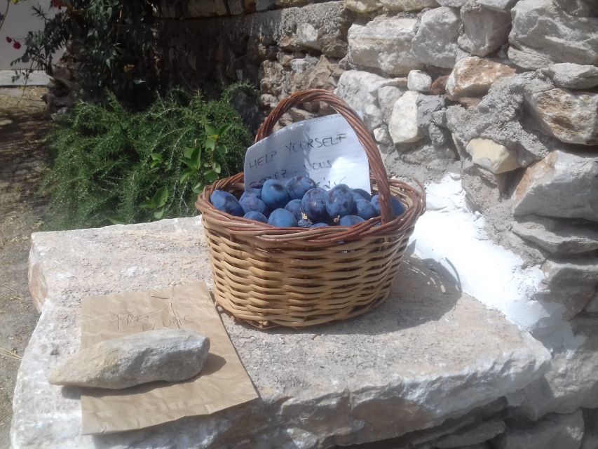 Naxos: Private Minibus Rental with an Experienced Driver - Olive mills, pottery, and local tastes