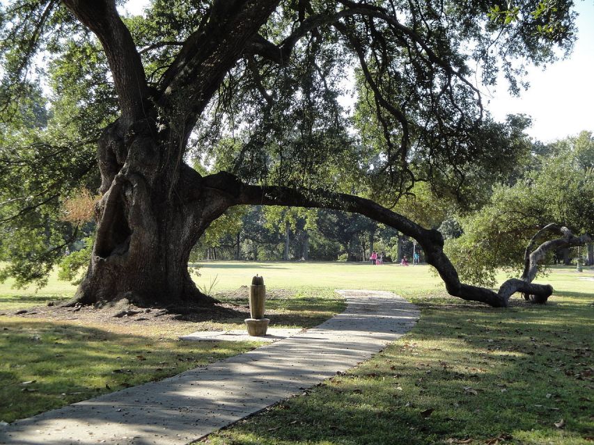 New Orleans: 2-Hour 15-Minute City and Cemetery Tour by Bus - Key points to know before you book