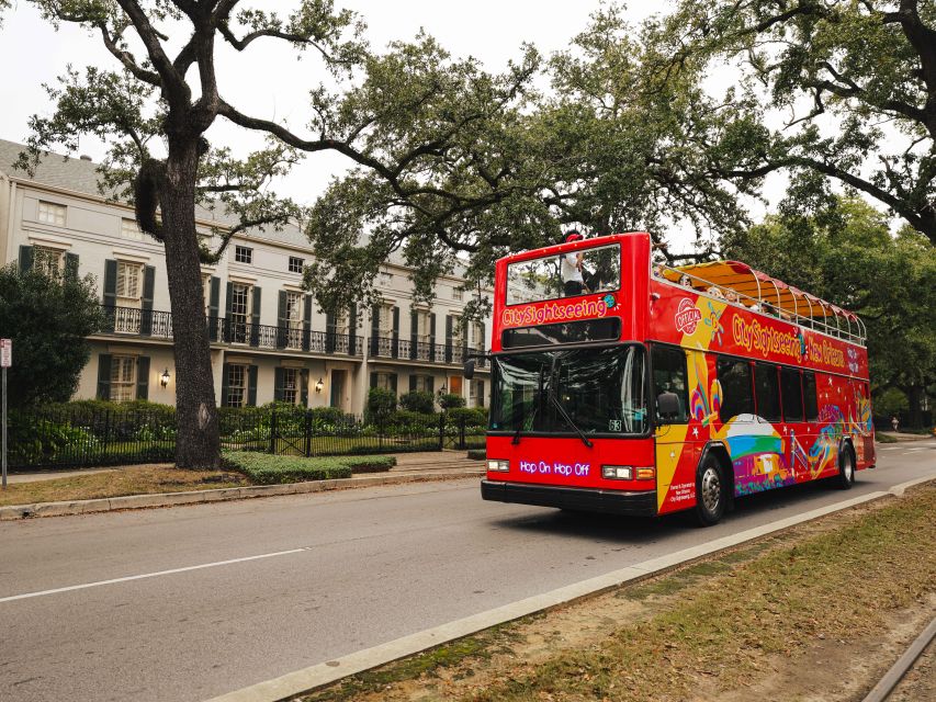 New Orleans: 2 or 3 Day Hop-On Hop-Off Bus with Walking Tour - Key points to know before you ride