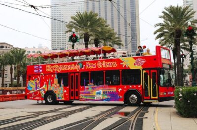 2 or 3 Day Hop-On Hop-Off Bus with Walking Tour