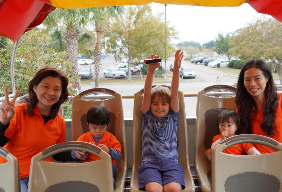 New Orleans: 2 or 3 Day Hop-On Hop-Off Bus with Walking Tour - Canal Street, the CBD, and the riverfront
